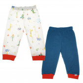 Set de pantaloni din bumbac în albastru și cu imprimeu pentru băieți Bebetto 55269 