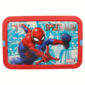 Cutie de depozitare cu clic, 7 litri Spiderman 59172 3