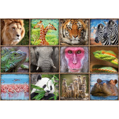 Puzzle pentru copii - colaj de animale Educa 59317 2