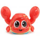 Crab de jucărie Little Tikes 5952 2