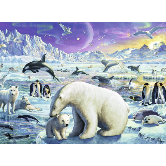 Puzzle 2D animale polare Ravensburger 59926 6
