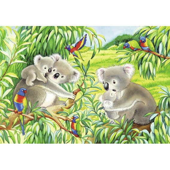 Puzzle 2 în 1 Koala și urs panda Ravensburger 60419 3