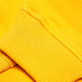 Hanorac cu mânecă lungă, galben, cu logo pentru băieți Franklin & Marshall 61883 6