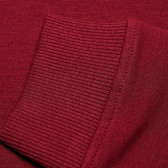 Bluză din bumbac cu mânecă lungă de culoare roșie cu imprimeu pentru fete Name it 61954 5