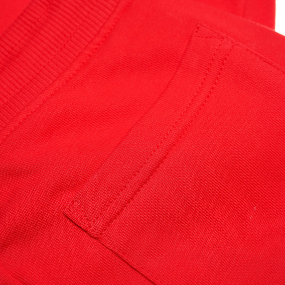 Pantaloni scurți din bumbac cu logo, pentru băieți Franklin & Marshall 64981 5
