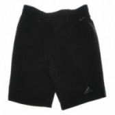 Pantaloni scurți pentru băieți, cu șnur gri Adidas 68330 2