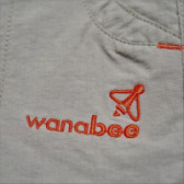 Pantaloni scurți de băiat, cu accente portocalii Wanabee 68368 3