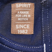 Pantaloni lungi din bumbac unisex cu logo-ul mărcii Spirit 69621 5
