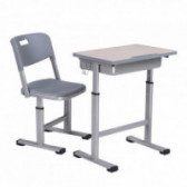 RFG Birou și scaun reglabil ERGO SCHOOL gri, din I până la VIII-a clasa Real Feel Good 71396 