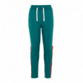 Pantaloni sport unisex din bumbac, de culoare verde Name it 72706 