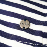 Bluză cu mânecă scurtă, în dungi, pentru gravide Esprit 73279 4