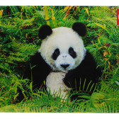 Puzzle pentru copii Panda Educa 75083 4