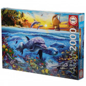 Puzzle Familie de delfini Educa 75153 3