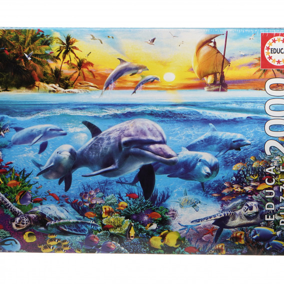 Puzzle Familie de delfini Educa 75155 5