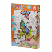 Puzzle de colorat pentru copii, Fluturi Educa 75177 2