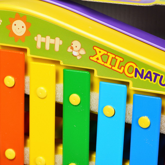 Xilofon cu pian pentru copii Claudio Reig 76446 6