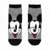 Șosete cu Mickey Mouse pentru băieți Mickey Mouse 79883 