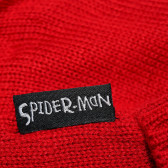 Căciulă Spiderman pentru băieți  Cool club 80532 4