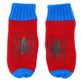 Mănuși Spiderman pentru băieți Cool club 80534 