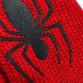 Mănuși Spiderman pentru băieți Cool club 80535 2