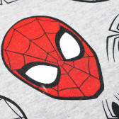 Bluză cu mânecă lungă și imprimeu cu Spiderman, pentru băieți Cool club 81098 3
