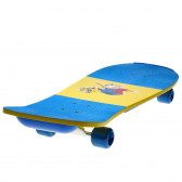 c-486 skateboard Amaya 82088 3