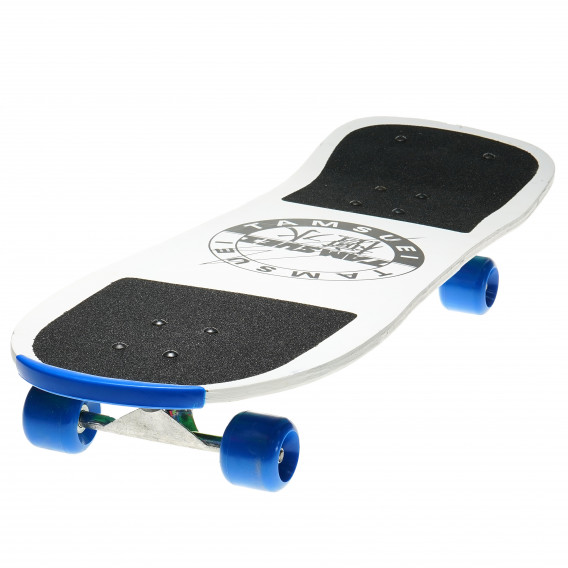c-480 skateboard Amaya 82118 2