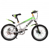 Bicicletele Lucas pentru copii, 18”, de culoare gri ZIZITO 84423 7