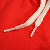 Pantaloni scurți din bumbac, de culoare roșie, pentru fetițe Pinokio 94468 3