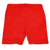 Pantaloni din bumbac, cu etichetată LOVE pentru fetițe, roșu Pinokio 94614 2