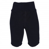 Pantaloni de bumbac cu aplic gri, pentru băieți Pinokio 96878 2