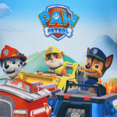Scaun auto cu imprimeu Paw Patrol 15-36 kg. Paw patrol 99515 3