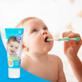 Pasta de dinti pentru bebeluși și copii, tub de plastic, 50 ml brush-baby 99521 2