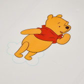 Cadă Winnie the Pooh, gri Lorelli 99778 5