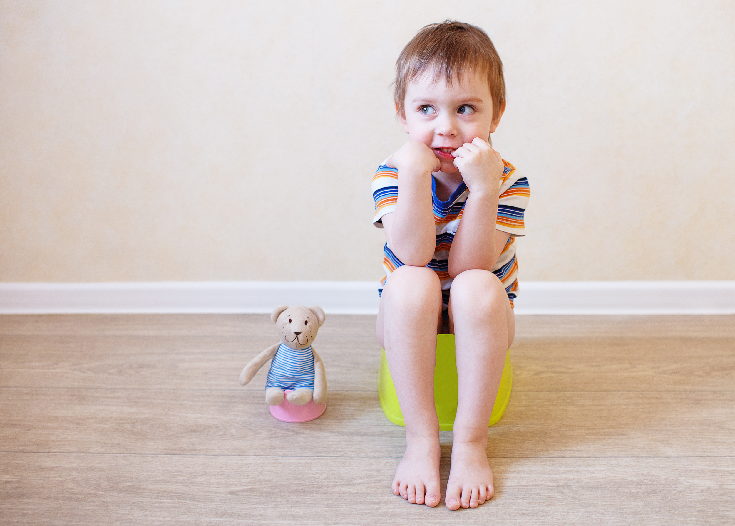 Potty,training,toddler,and,teddy.,child,sitting,on,the,pot